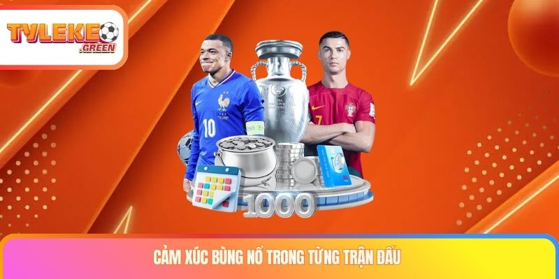 Giải Bóng Đá EURO Là Gì? Lịch Sử, Thể Thức & Kỷ Lục Các cột mốc lịch sử của giải bóng đá EURO