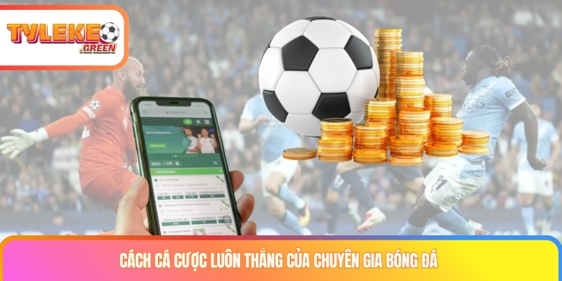 Checklist khi phân tích kèo thẻ phạt