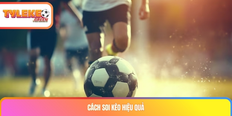 Các dữ liệu dùng trong soi kèo bóng đá