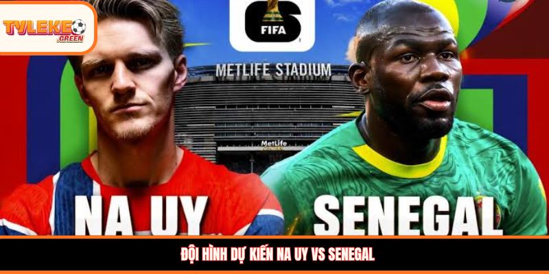 Na Uy vs Senegal - Soi Kèo Ngày 23/06 Nhận Định Vòng Bảng Đội hình dự kiến Na Uy vs Senegal