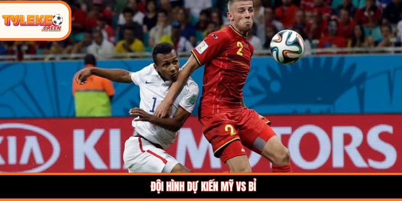 Mỹ vs Bỉ - Soi Kèo Vòng 1/8 World Cup 2026 Đội hình dự kiến Mỹ vs Bỉ